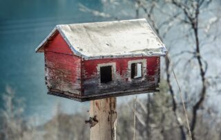 Winter home protection